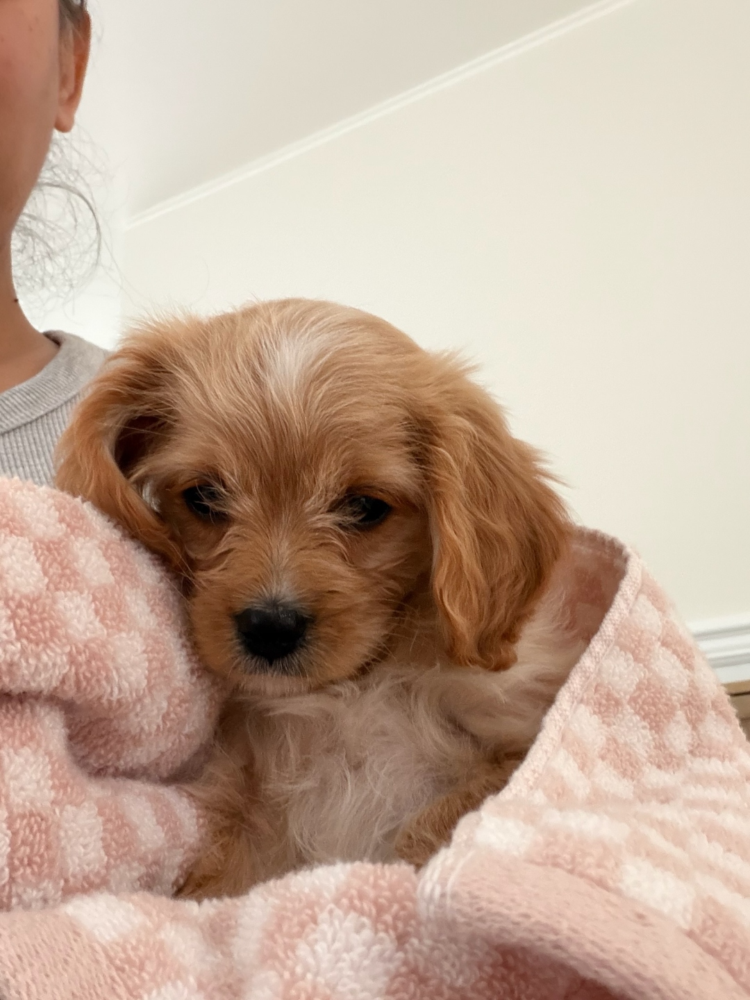 Bella being held with tenderness