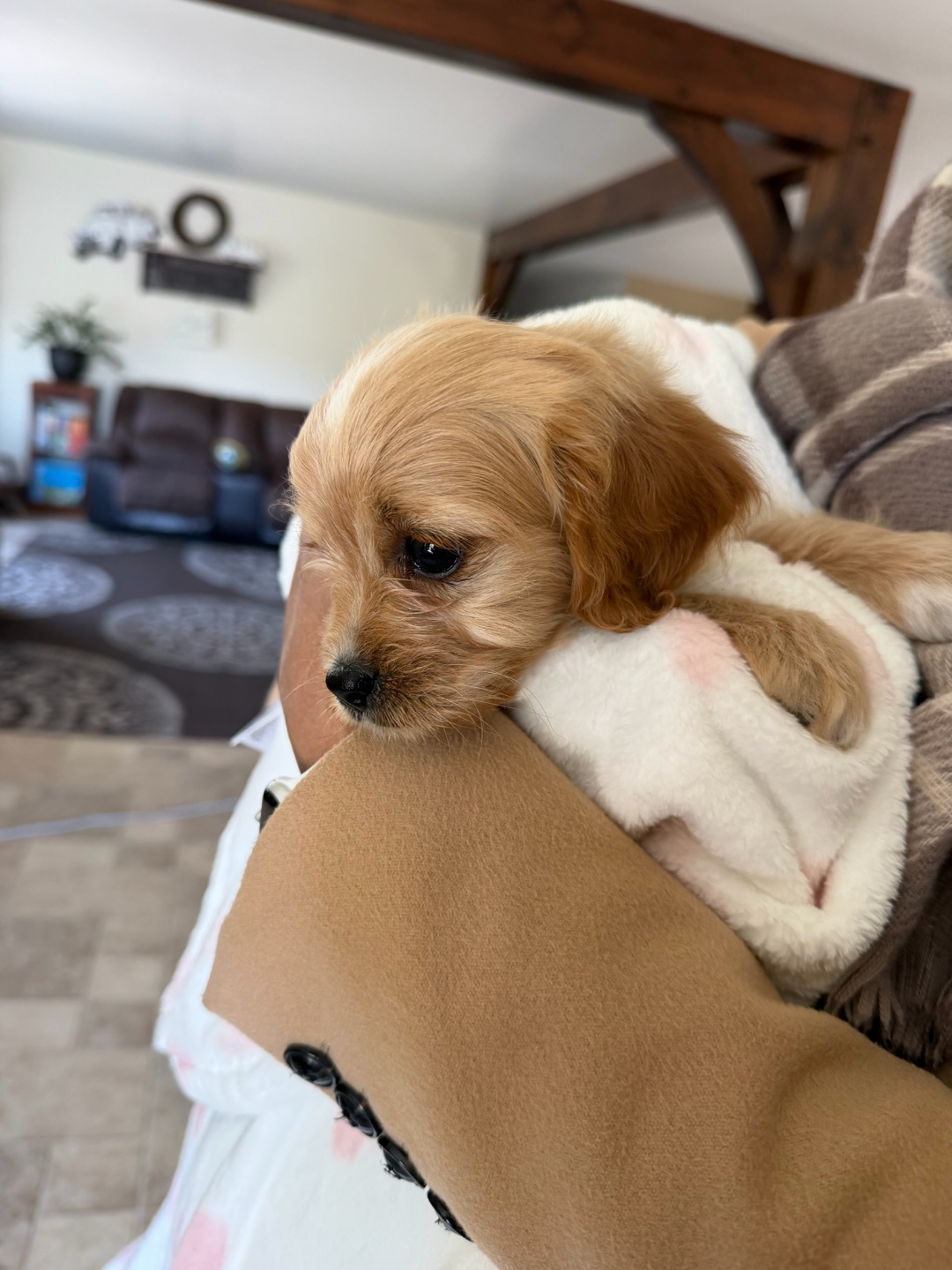 Bella's first bath